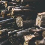 Have a plan before cutting timber