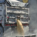 Grain prices are consistent, but cheap Grain delivery