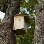 How to build a simple, quality bird box nesting box