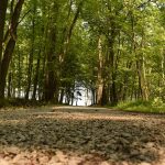 2017 Ohio River Valley Woodlands and Wildlife Workshop