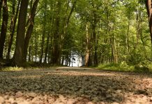 2017 Ohio River Valley Woodlands and Wildlife Workshop