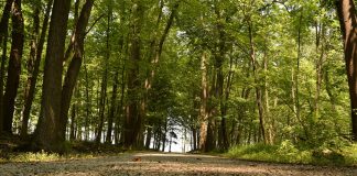 2017 Ohio River Valley Woodlands and Wildlife Workshop