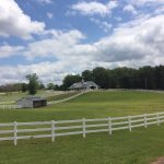 Warm weather signals warm season grasses pasture