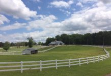 How to divide pastures for better performance pasture