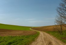 The great race: auto vs. locomotive