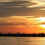 2017 a banner year for fishing in Lake Ontario?