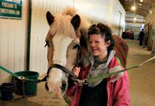 Unspoken trust between horses and humans Therapeutic riding