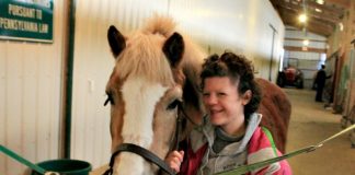 Unspoken trust between horses and humans Therapeutic riding