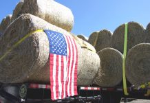 Sutherland: ‘Neither to serve, nor to rule’ is the motto that built the US Duma trucks and flags