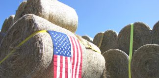 ‘We’ can accomplish more than ‘they’ Duma trucks and flags