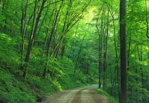 Landowners to gather in Pa. for forestry conference