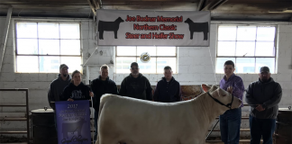 Ashtabula Co. reports steer and heifer show results