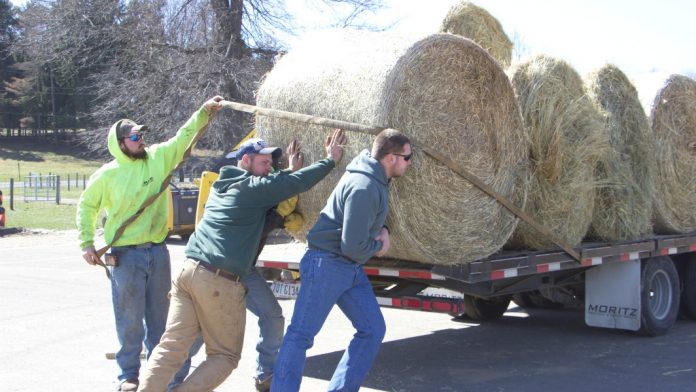Wildfire relief part 2 Loading hay