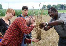 GROWMARK offers 55 scholarships valued at $2,000 each OSU plant pathology