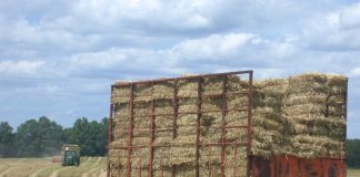 Noxious Weed Free Forage and Mulch