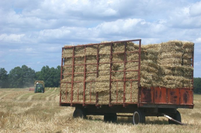 Noxious Weed Free Forage and Mulch Noxious Weed Free Forage and Mulch