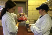 Blood for bats Blood for Bats