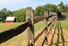 Crooked fences fence
