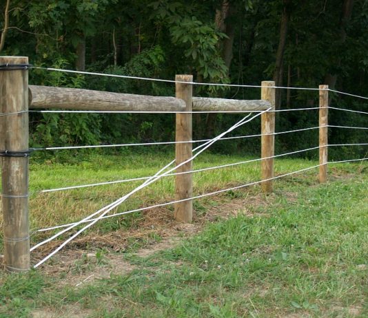 fencing on farm