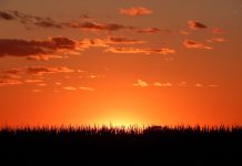 A hard-working man who made a lasting difference sunset