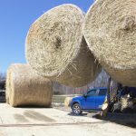 wildfire relief dumas