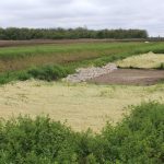 Scientists to examine residual phosphorus issue in Ohio phosphorus removal bed