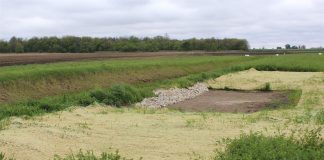 Scientists to examine residual phosphorus issue in Ohio phosphorus removal bed