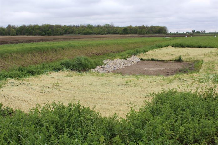 phosphorus removal bed