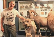 Get your hands on nature Beaver Creek