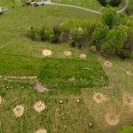 Could bale grazing work for you? Bale grazing