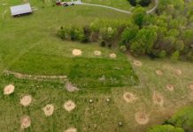 Could bale grazing work for you? Bale grazing