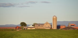 Agriculture’s greatest innovation