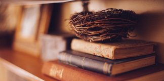 Birding books you should consider reading