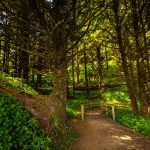 Sometimes things are out of our control, but good in the end