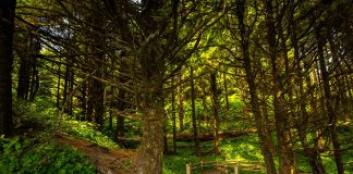 Sometimes things are out of our control, but good in the end