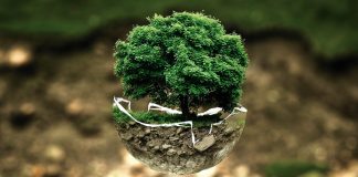 OSU student named Udall Scholar