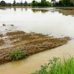 Replanting or are your fields still too wet to plant? Plant17 flooded field in Ohio