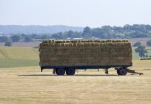 Are you charging enough for your hay? hay harvest