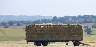 hay harvest