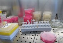 Stone Lab selects research interns laboratory