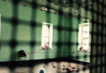 Lunatic asylum brings history to life Lunatic asylum