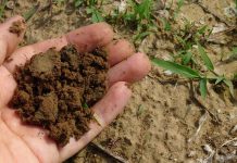 Soil Health Partnership announces expansion of pilot associate program soil