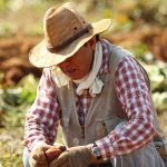 How to prevent sun damaged skin