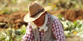 How to prevent sun damaged skin