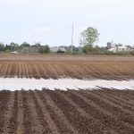 Market reacts to late rain patterns flooded field