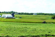 How should farm business income be divided?