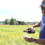 Farmers go farm to bottle with malted barley Bill Bakan with his barley and beer