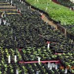 Crown Point helps teens explore ag careers Crown point