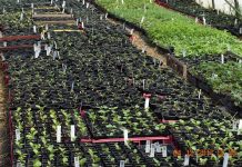 Crown Point helps teens explore ag careers Crown point