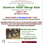 Eastern-NSIP-Sale-Flyer